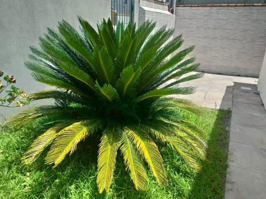Casa agradável em Camboriú com estacionamento no pátio Villa Exterior foto